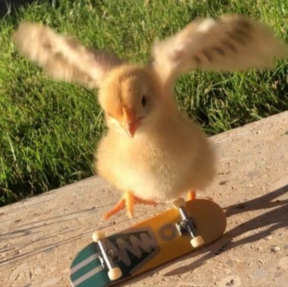 Meet your Posher, Javier - Picture 1 of 1